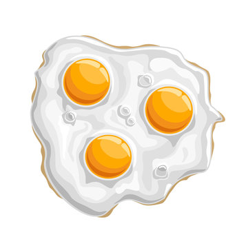 Vector illustration Fried chicken Egg: isolated cooked white protein with 3 yellow yolk-sunny side, logo cartoon cooking fried egg - top view, abstract clip art of traditional crispy fry breakfast up.