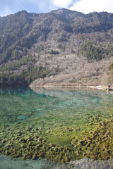 世界遺産「九寨溝」の五花海4