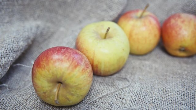 the apples on the background of the canvas.