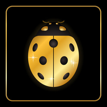 Ladybug gold insect small icon. Golden lady bug animal sign, isolated on black background. 3d volume design. Cute jewelry ladybird design. Cartoon lady bird closeup beetle. Vector illustration