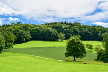 Fototapeta na wymiar Green countryside landscape in Switzerland