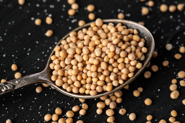 White mustard seeds in metal spoon on a black wooden table