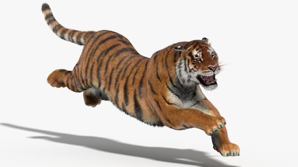 Tiger Amur (3D) - obrazy, fototapety, plakaty