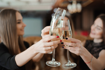 Portrait of happy young friends touching the glasses with each other