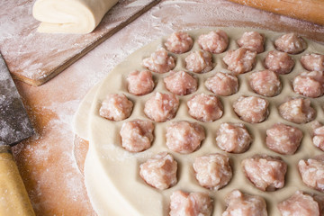 Homemade Meat Dumplings - russian pelmeni