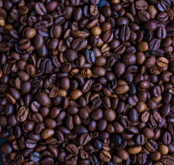 Coffee beans.