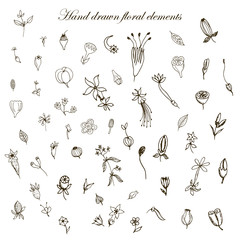 The set of decorative elements