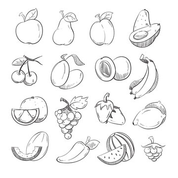 Sketch doodle, hand drawn fresh and juicy fruits vector set