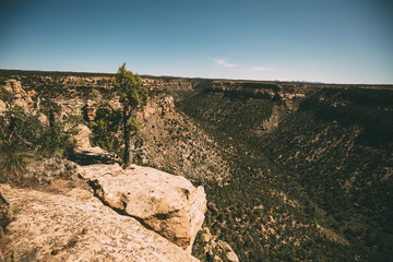 green canyon