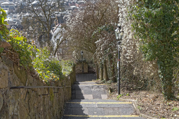 Descent in the park