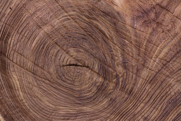 Wood texture, stump, grungy, rough wooden background