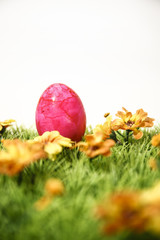 Osterei auf grüner Wiese