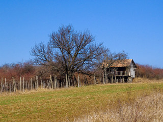 cottage on the wineyard