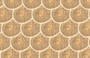 Obraz premium round texture of wood arranged in the form of scales