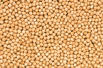 Raw chickpea or garbanzo bean. Vegan source of protein..