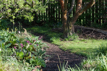 Mulchweg im Naturgarten