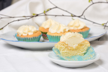 Vanilla cupcakes on white wood background, copy space