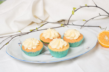 Vanilla cupcakes on white wood background, copy space