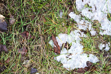 Grass and snow background texture