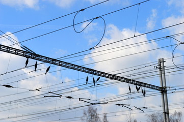 The view on wires in railway station