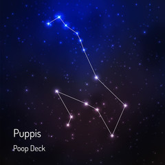  constellation in the night starry sky