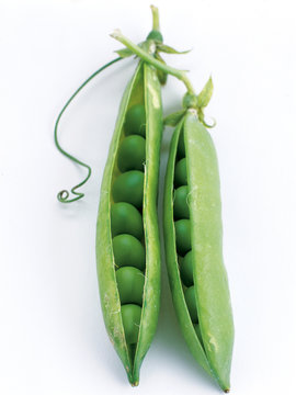 Peas in the pod 