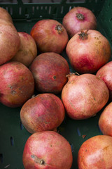 Granatäpfel