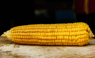 sweet corn with some ears partially husked