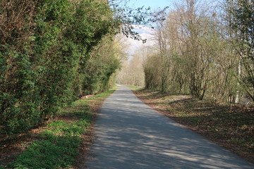 Chemin au bord de l'eau