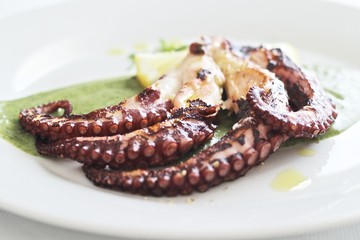 close up of grilled octopus on a plate with green pesto sauce 