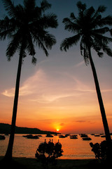 Silhouetted palm trees and boats at sunrise on Ao Ton Sai, Phi Phi Don Island, Thailand