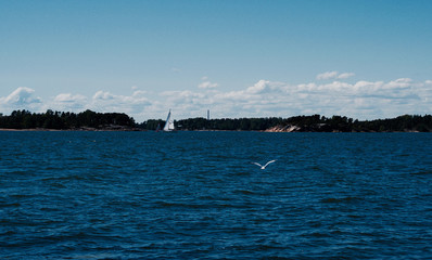 Blue Sea and Sky, the summer of helsinki, Finland