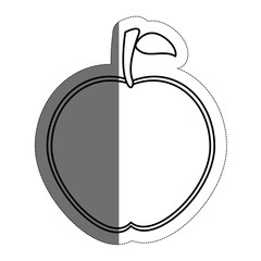 apple fruit icon over white background. vector illustration