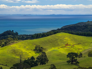 New Zealand erosion landscape green hills with sea