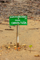 Mangrove sprout next to a board with the name of the person who planted it, Rinca island, Komodo National Park, Indonesia