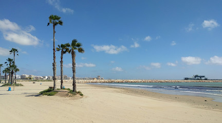 Beach of Torrevieja. Costa Blanca. Spain