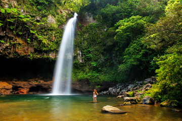 Fototapeta premium Wodospady Lower Tavoro w Parku Dziedzictwa Narodowego Bouma, wyspa Taveuni, Fidżi