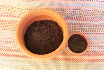 Composition of plants in a broken pot Decor for a garden