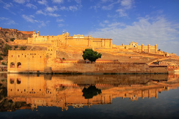 Amber Fort spiegelt sich im Maota-See in der Nähe von Jaipur, Rajasthan, Indien.