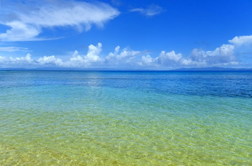 Fototapeta na wymiar Clear water along the shore of Taveuni Island, Fiji