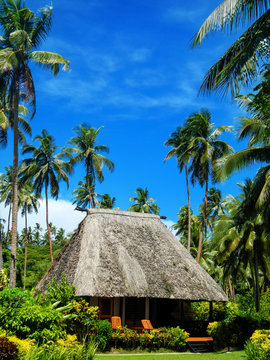 Traditional house with thatched roof on Vanua Levu Island, Fiji