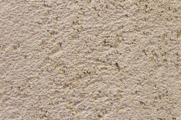Texture of white cement plaster wall