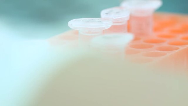 manipulation en laboratoire