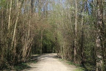 Parc de l'île d'amour