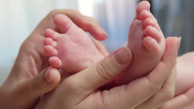 Tiny baby feet in adult hands on white background