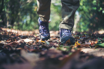 Female hiker feet walking on forest trail. Active woman traveling on the nature.