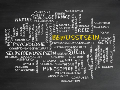 Bewusstsein