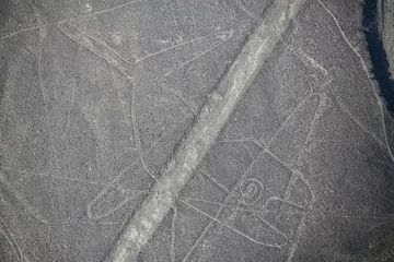 Fotobehang Aerial view of Nazca Lines -  Whale geoglyph, Peru. © donyanedomam