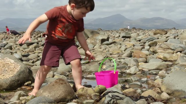 Young boy on a rock pool beach finding crabs