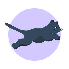 Cat breed cute kitten black pet portrait fluffy young adorable cartoon animal and pretty fun play feline sitting mammal domestic kitty vector illustration.